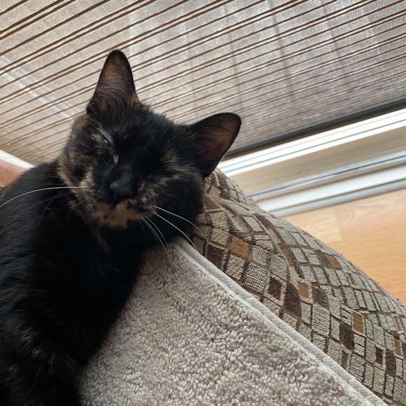 Meet your Posher, Joan - Picture 1 of 1